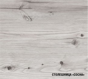 АСАЯ Кухонный гарнитур Экстра (3000 мм) в Набережных Челнах - naberezhnye-chelny.ok-mebel.com | фото 8