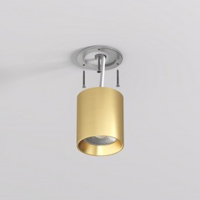DK2610-SB Накладной светильник SHINE TUBE со светодиодом, D70*H80, IP20, 3000К, 10W, RA?90, сатинированная латунь, алюминий в Набережных Челнах - naberezhnye-chelny.ok-mebel.com | фото 3