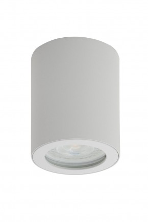 DK3007-WH Накладной светильник влагозащ., IP 44, 15 Вт, GU10, белый, алюминий в Набережных Челнах - naberezhnye-chelny.ok-mebel.com | фото