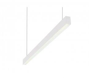 DK9124-WH Линейный светильник 30W 1250mm 4000K, белый в Набережных Челнах - naberezhnye-chelny.ok-mebel.com | фото
