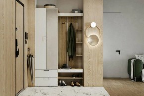 Гарнитур для прихожей Торонто в Набережных Челнах - naberezhnye-chelny.ok-mebel.com | фото 5