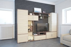 Гостиная Пекин с пеналом (ЭРА) в Набережных Челнах - naberezhnye-chelny.ok-mebel.com | фото 2