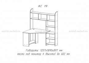 Компьютерный стол №19 (Анкор темный) в Набережных Челнах - naberezhnye-chelny.ok-mebel.com | фото 3