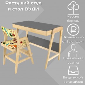 Комплект растущий стол и стул с чехлом 38 попугаев «Вуди» (Серый, Без покрытия, Монстры) в Набережных Челнах - naberezhnye-chelny.ok-mebel.com | фото