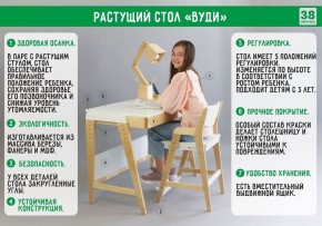 Комплект растущий стол и стул с чехлом 38 попугаев «Вуди» (Серый, Без покрытия, Розовый) в Набережных Челнах - naberezhnye-chelny.ok-mebel.com | фото