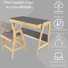 Комплект растущий стол и стул с чехлом 38 попугаев «Вуди» (Серый, Без покрытия, Серый) в Набережных Челнах - naberezhnye-chelny.ok-mebel.com | фото