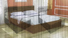 Кровать интерьерная Лита с латами 1600*2000 в Набережных Челнах - naberezhnye-chelny.ok-mebel.com | фото 4