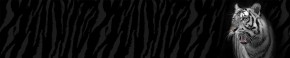 Кухонный фартук Фауна 055 МДФ матовый (3000) Fauna в Набережных Челнах - naberezhnye-chelny.ok-mebel.com | фото