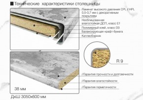 Кухонный фартук со столешницей (А-01) в едином стиле (3050 мм) в Набережных Челнах - naberezhnye-chelny.ok-mebel.com | фото 6