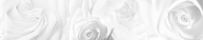 Кухонный фартук Цветы 217 МДФ матовый (3000) Flowers в Набережных Челнах - naberezhnye-chelny.ok-mebel.com | фото