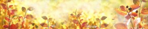 Кухонный фартук Цветы 318 МДФ матовый (3000) Flowers в Набережных Челнах - naberezhnye-chelny.ok-mebel.com | фото