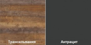 Кухонный гарнитур угловой Трансильвания 2600х1600 мм (Стол. 38 мм) в Набережных Челнах - naberezhnye-chelny.ok-mebel.com | фото 3