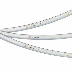 Лента светодиодная Arlight IC-PS-A60-10mm 24V 050656 в Набережных Челнах - naberezhnye-chelny.ok-mebel.com | фото