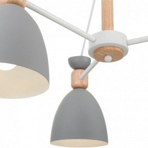 Люстра на штанге Freya Delia FR5033CL-05W в Набережных Челнах - naberezhnye-chelny.ok-mebel.com | фото