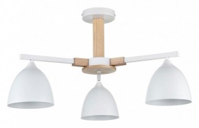 Люстра на штанге Lumion Colange 8095/3C в Набережных Челнах - naberezhnye-chelny.ok-mebel.com | фото