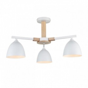 Люстра на штанге Lumion Colange 8095/3C в Набережных Челнах - naberezhnye-chelny.ok-mebel.com | фото 2