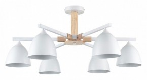 Люстра на штанге Lumion Colange 8095/6C в Набережных Челнах - naberezhnye-chelny.ok-mebel.com | фото