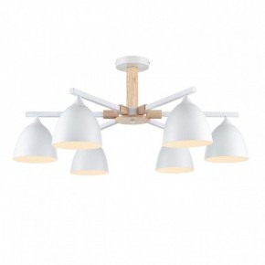 Люстра на штанге Lumion Colange 8095/6C в Набережных Челнах - naberezhnye-chelny.ok-mebel.com | фото 2