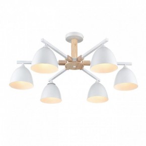 Люстра на штанге Lumion Colange 8095/6C в Набережных Челнах - naberezhnye-chelny.ok-mebel.com | фото 3