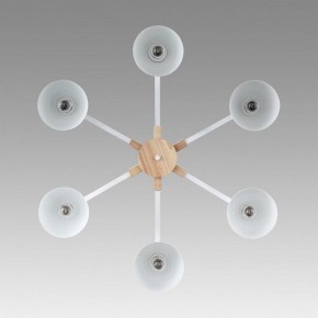 Люстра на штанге Lumion Colange 8095/6C в Набережных Челнах - naberezhnye-chelny.ok-mebel.com | фото 4