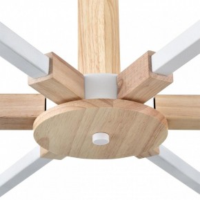Люстра на штанге Lumion Colange 8095/6C в Набережных Челнах - naberezhnye-chelny.ok-mebel.com | фото 7