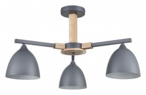 Люстра на штанге Lumion Colange 8096/3C в Набережных Челнах - naberezhnye-chelny.ok-mebel.com | фото