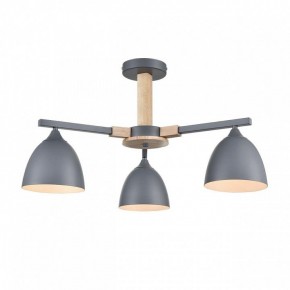 Люстра на штанге Lumion Colange 8096/3C в Набережных Челнах - naberezhnye-chelny.ok-mebel.com | фото 2
