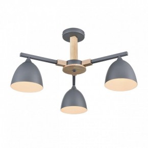 Люстра на штанге Lumion Colange 8096/3C в Набережных Челнах - naberezhnye-chelny.ok-mebel.com | фото 3