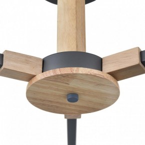 Люстра на штанге Lumion Colange 8096/3C в Набережных Челнах - naberezhnye-chelny.ok-mebel.com | фото 7