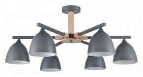 Люстра на штанге Lumion Colange 8096/6C в Набережных Челнах - naberezhnye-chelny.ok-mebel.com | фото