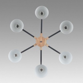 Люстра на штанге Lumion Colange 8096/6C в Набережных Челнах - naberezhnye-chelny.ok-mebel.com | фото 4