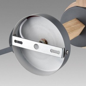Люстра на штанге Lumion Colange 8096/6C в Набережных Челнах - naberezhnye-chelny.ok-mebel.com | фото 6