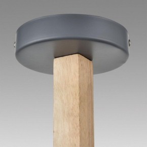 Люстра на штанге Lumion Colange 8096/6C в Набережных Челнах - naberezhnye-chelny.ok-mebel.com | фото 9