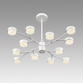 Люстра на штанге Lumion TORINA 8265/12 в Набережных Челнах - naberezhnye-chelny.ok-mebel.com | фото 5
