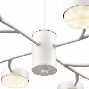 Люстра на штанге Lumion TORINA 8265/12 в Набережных Челнах - naberezhnye-chelny.ok-mebel.com | фото 8