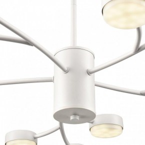 Люстра на штанге Lumion TORINA 8265/15 в Набережных Челнах - naberezhnye-chelny.ok-mebel.com | фото 8