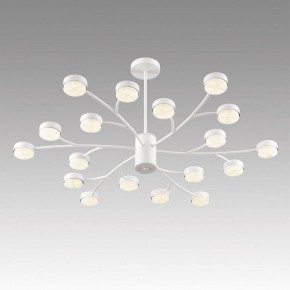 Люстра на штанге Lumion TORINA 8265/18 в Набережных Челнах - naberezhnye-chelny.ok-mebel.com | фото 5