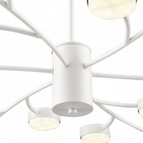 Люстра на штанге Lumion TORINA 8265/18 в Набережных Челнах - naberezhnye-chelny.ok-mebel.com | фото 8