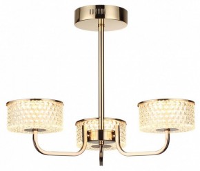 Люстра на штанге Lumion Venice 6579/40CL в Набережных Челнах - naberezhnye-chelny.ok-mebel.com | фото 5