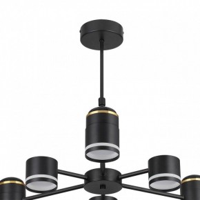 Люстра на штанге Lumion Virsava 8234/6C в Набережных Челнах - naberezhnye-chelny.ok-mebel.com | фото 5