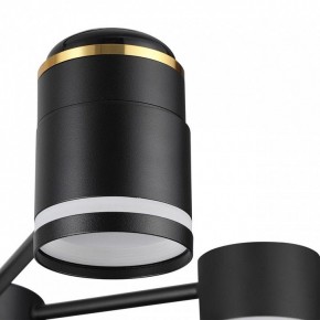 Люстра на штанге Lumion Virsava 8234/6C в Набережных Челнах - naberezhnye-chelny.ok-mebel.com | фото 8