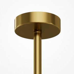 Люстра на штанге Maytoni Museo MOD436PL-05BS в Набережных Челнах - naberezhnye-chelny.ok-mebel.com | фото 6