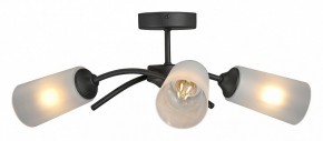 Люстра на штанге Vitaluce V2850 V2850-1/3PL в Набережных Челнах - naberezhnye-chelny.ok-mebel.com | фото