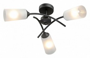 Люстра на штанге Vitaluce V2850 V2850-1/3PL в Набережных Челнах - naberezhnye-chelny.ok-mebel.com | фото 2