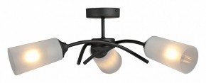 Люстра на штанге Vitaluce V2850 V2850-1/3PL в Набережных Челнах - naberezhnye-chelny.ok-mebel.com | фото 3