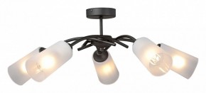 Люстра на штанге Vitaluce V2850 V2850-1/5PL в Набережных Челнах - naberezhnye-chelny.ok-mebel.com | фото