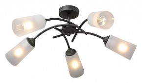 Люстра на штанге Vitaluce V2850 V2850-1/5PL в Набережных Челнах - naberezhnye-chelny.ok-mebel.com | фото 2