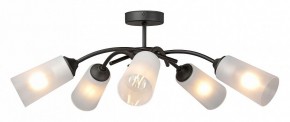 Люстра на штанге Vitaluce V2850 V2850-1/5PL в Набережных Челнах - naberezhnye-chelny.ok-mebel.com | фото 3