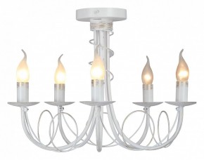Люстра на штанге Vitaluce V3035 V3035-0/5PL в Набережных Челнах - naberezhnye-chelny.ok-mebel.com | фото 2