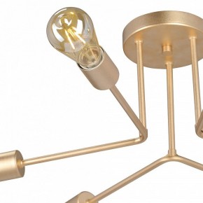 Люстра на штанге Vitaluce V3071 V3071-8/6PL в Набережных Челнах - naberezhnye-chelny.ok-mebel.com | фото 6